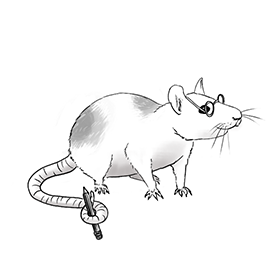 Illustration einer Ratte mit Rotstift und Lesebrille