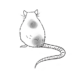 Illustration einer Ratte von hinten