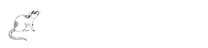 Die Lektoratte